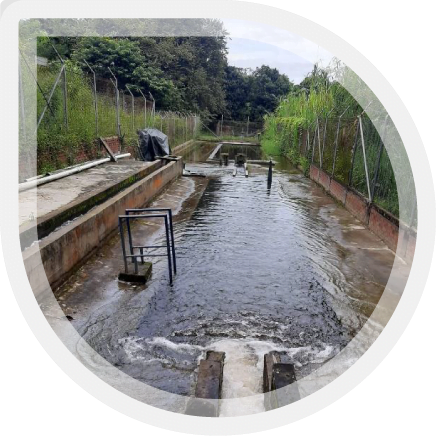 Emmir empresa de todos