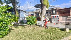 Emmir empresa de todos