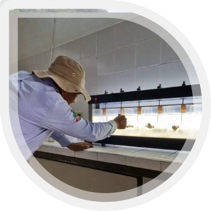 Emmir empresa de todos