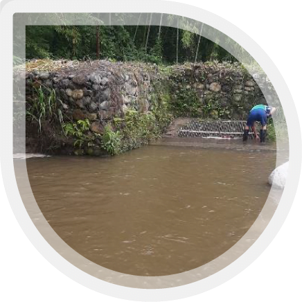 Emmir empresa de todos